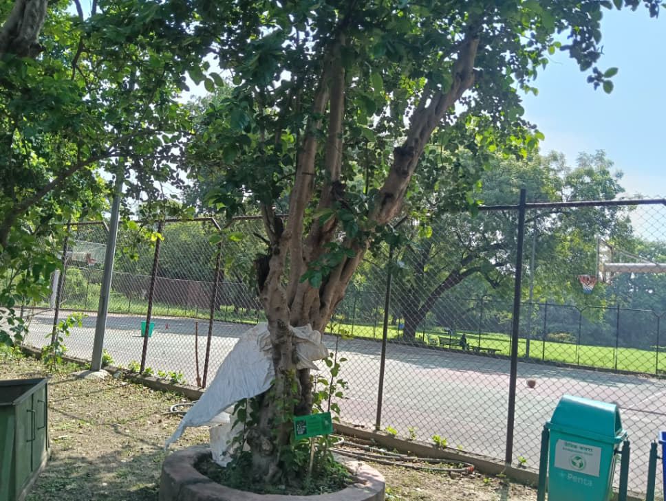 IP College for Women Sports photo 2